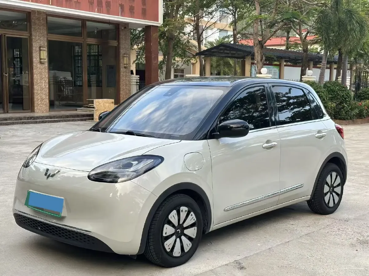 2023 WuLing BinGuo BEV 31.9KWH,autocango,china used car exporter,china ev exporter,chinese used car exporter,chinese used ev exporter