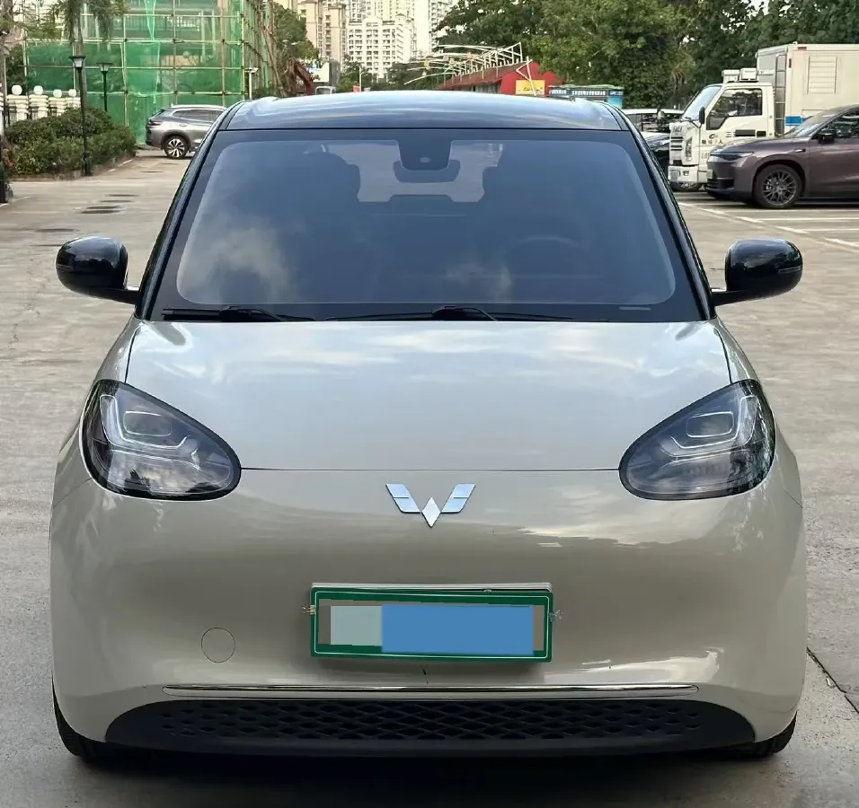 2023 WuLing BinGuo BEV 31.9KWH,autocango,china used car exporter,china ev exporter,chinese used car exporter,chinese used ev exporter