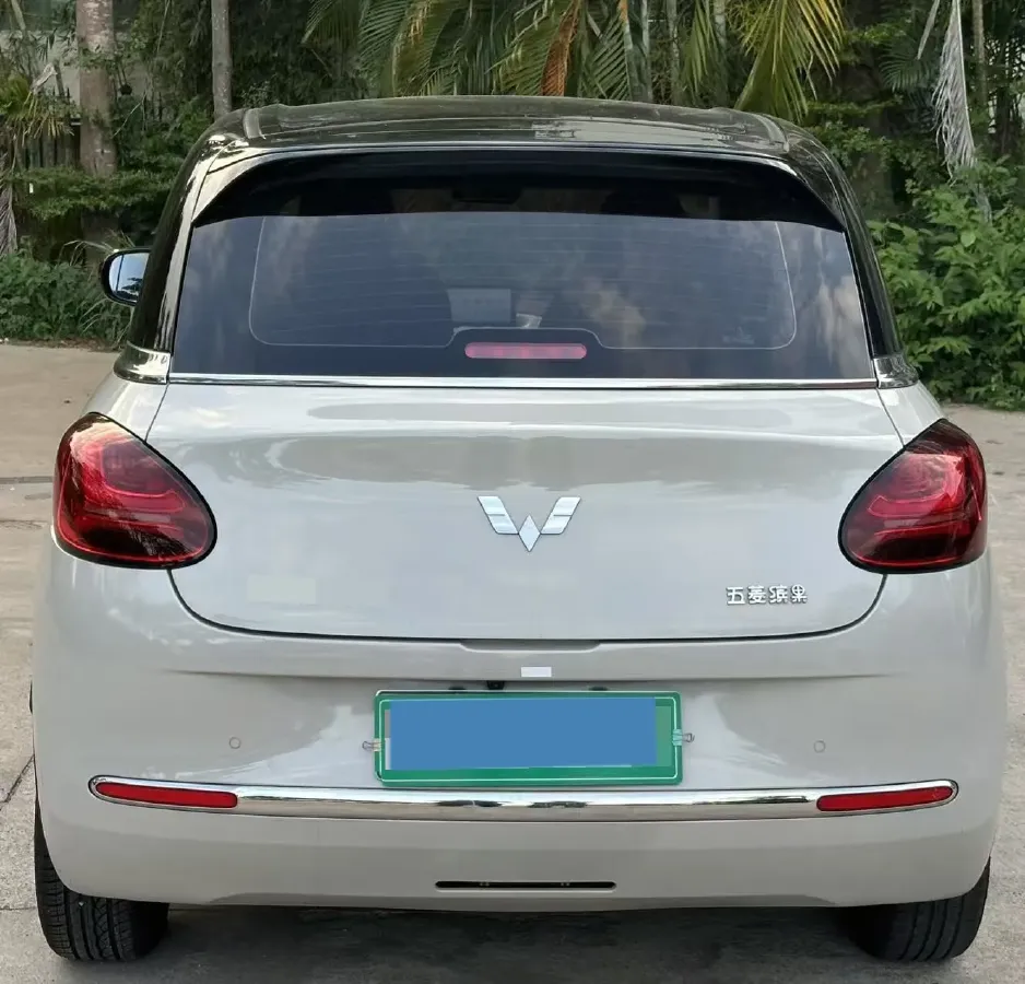 2023 WuLing BinGuo BEV 31.9KWH,autocango,china used car exporter,china ev exporter,chinese used car exporter,chinese used ev exporter