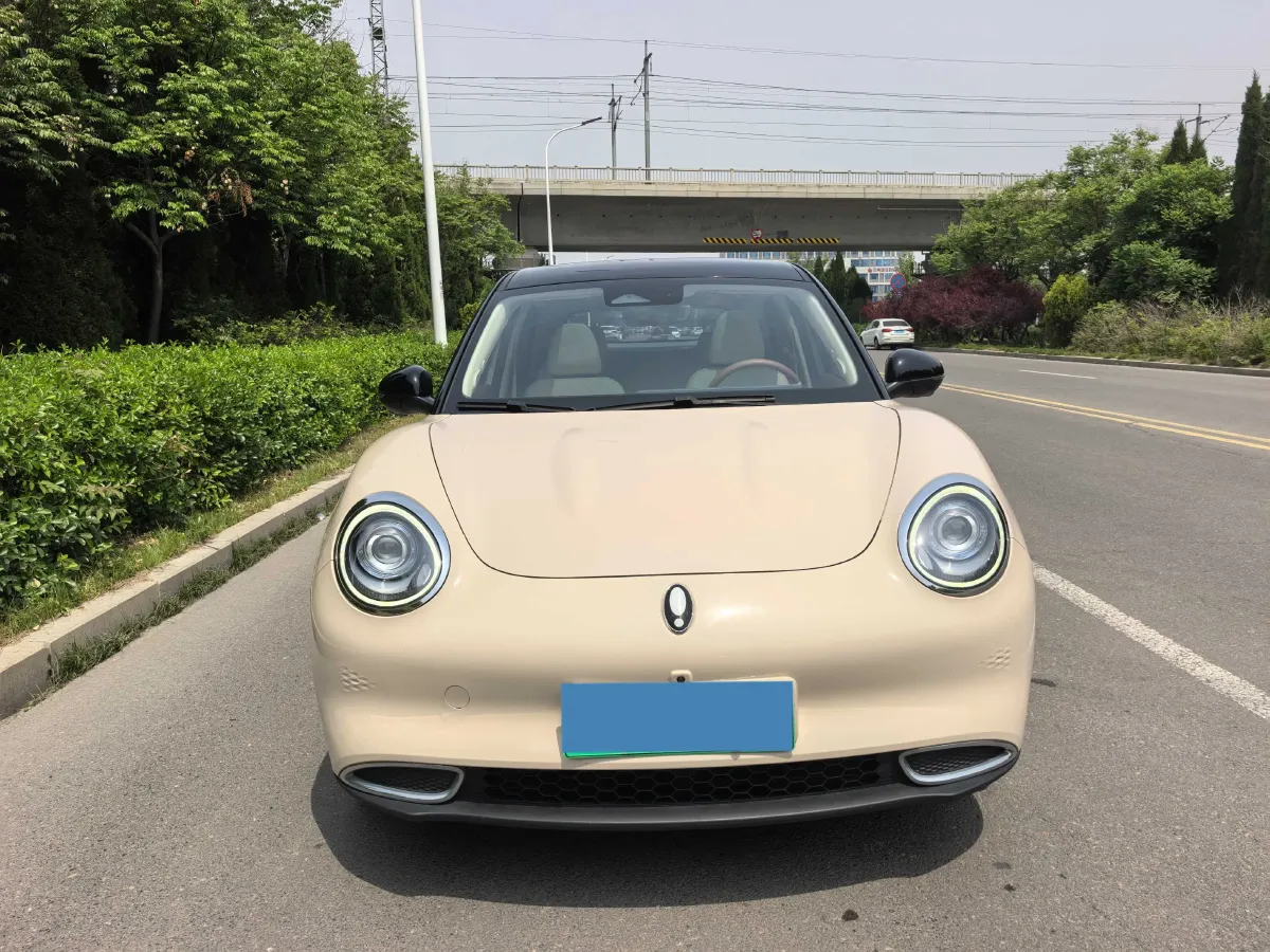 2021 Ora FunkyCat BEV 45.99KWH,autocango,china used car exporter,china ev exporter,chinese used car exporter,chinese used ev exporter