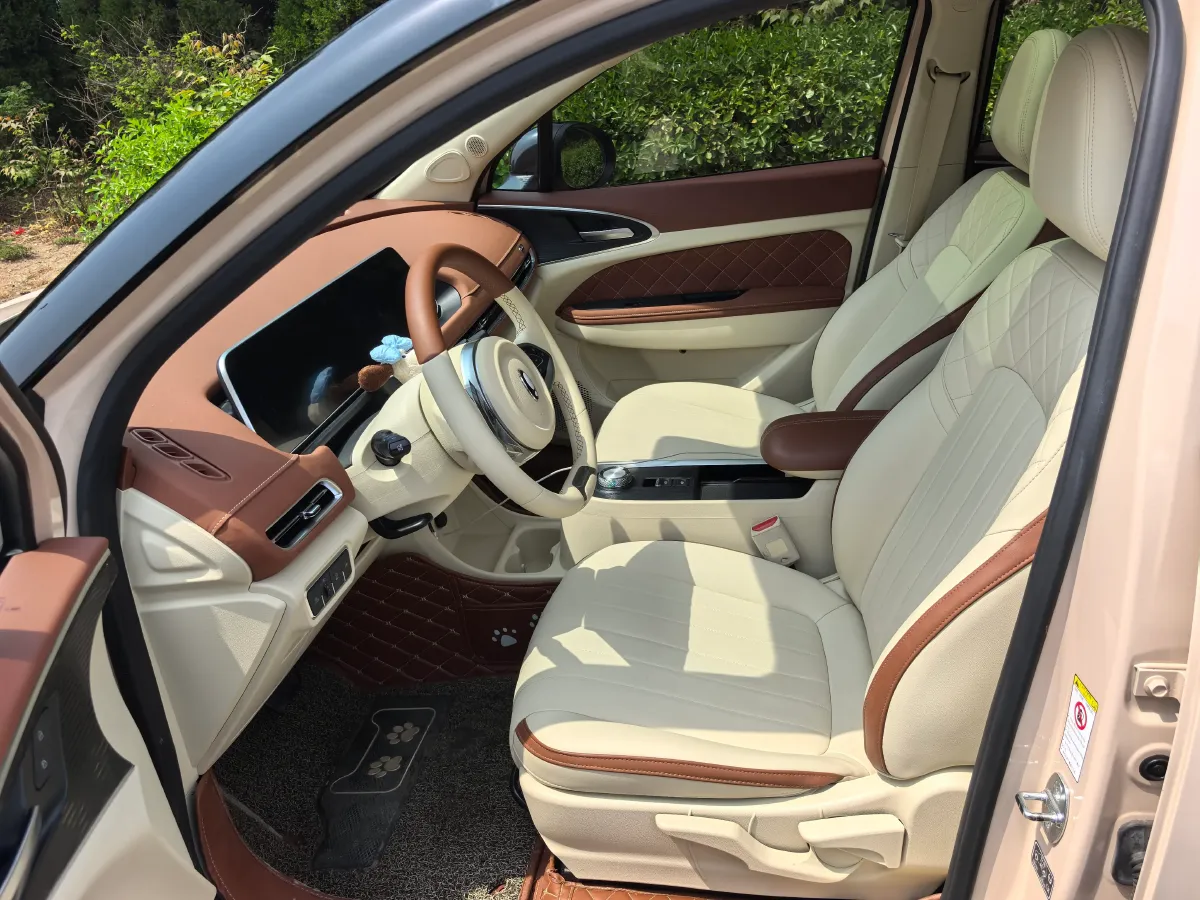 2021 Ora FunkyCat BEV 45.99KWH,autocango,china used car exporter,china ev exporter,chinese used car exporter,chinese used ev exporter