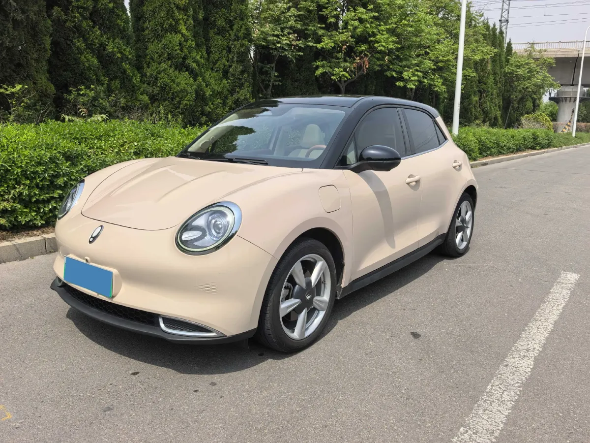 2021 Ora FunkyCat BEV 45.99KWH,autocango,china used car exporter,china ev exporter,chinese used car exporter,chinese used ev exporter