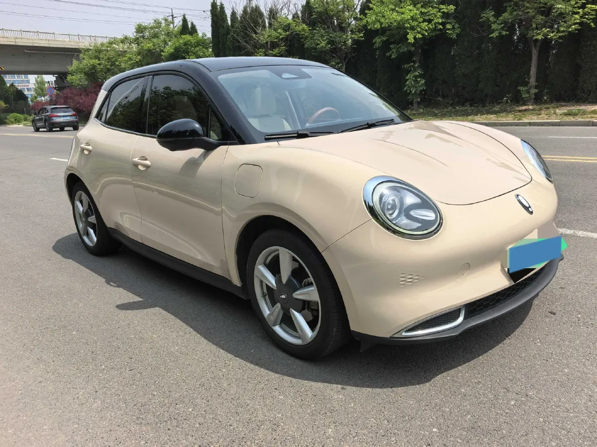 2021 Ora FunkyCat BEV 45.99KWH,autocango,china used car exporter,china ev exporter,chinese used car exporter,chinese used ev exporter