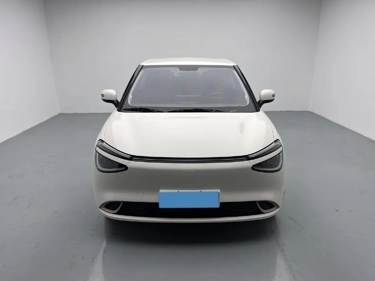 2024 DongFeng Nammi 01 BEV 42.3KWH,autocango,china used car exporter,china ev exporter,chinese used car exporter,chinese used ev exporter