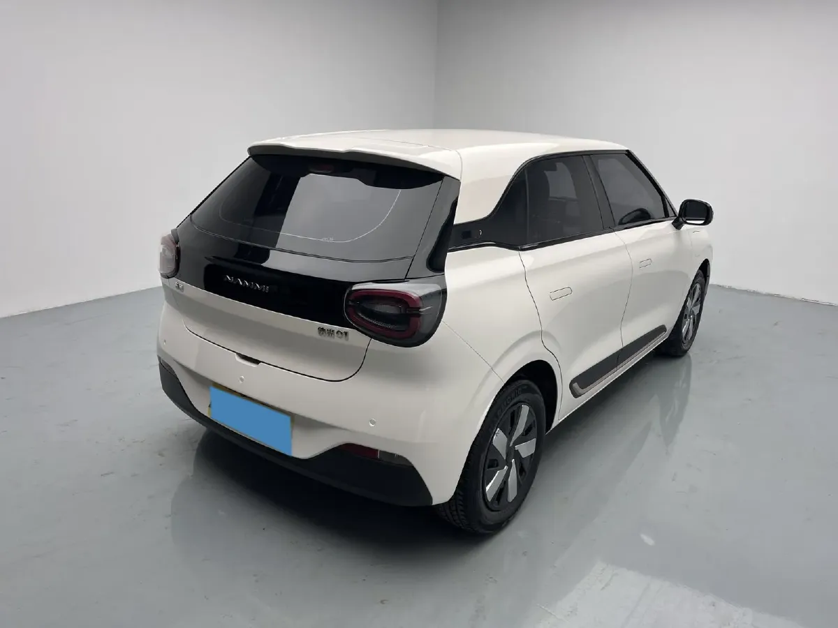 2024 DongFeng Nammi 01 BEV 42.3KWH,autocango,china used car exporter,china ev exporter,chinese used car exporter,chinese used ev exporter