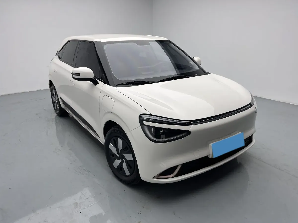 2024 DongFeng Nammi 01 BEV 42.3KWH,autocango,china used car exporter,china ev exporter,chinese used car exporter,chinese used ev exporter