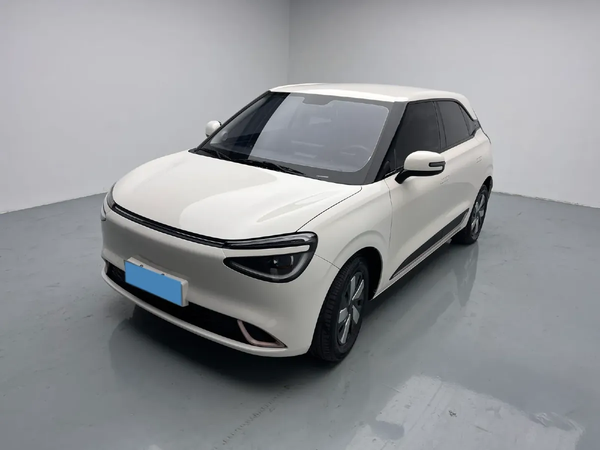 2024 DongFeng Nammi 01 BEV 42.3KWH,autocango,china used car exporter,china ev exporter,chinese used car exporter,chinese used ev exporter