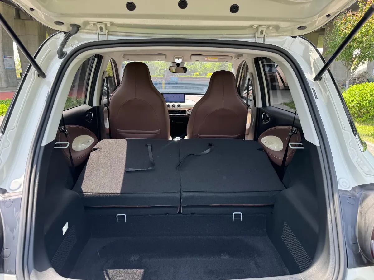 2023 WuLing BinGuo BEV 31.9KWH,autocango,china used car exporter,china ev exporter,chinese used car exporter,chinese used ev exporter
