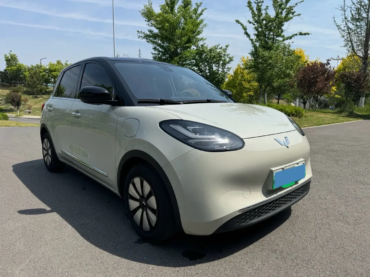 2023 WuLing BinGuo BEV 31.9KWH,autocango,china used car exporter,china ev exporter,chinese used car exporter,chinese used ev exporter