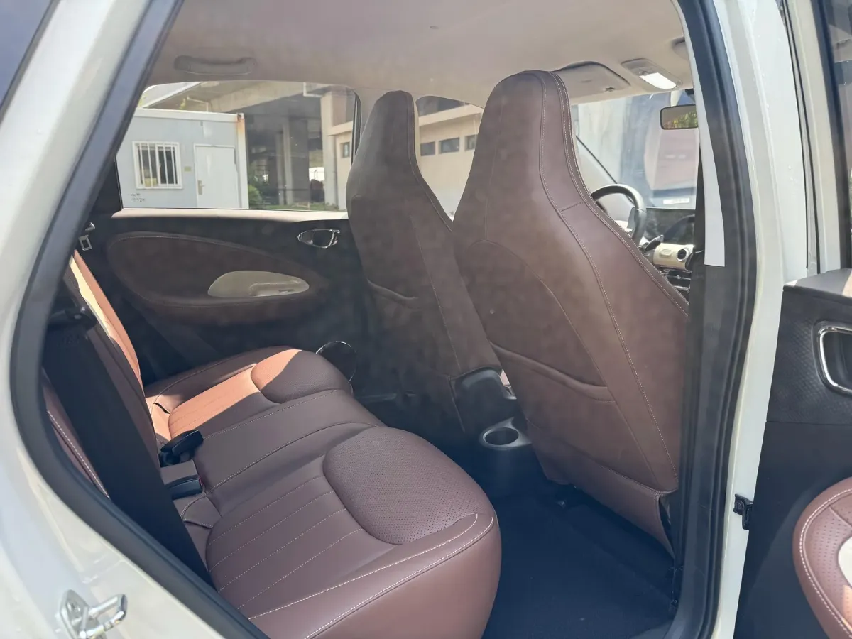 2023 WuLing BinGuo BEV 31.9KWH,autocango,china used car exporter,china ev exporter,chinese used car exporter,chinese used ev exporter