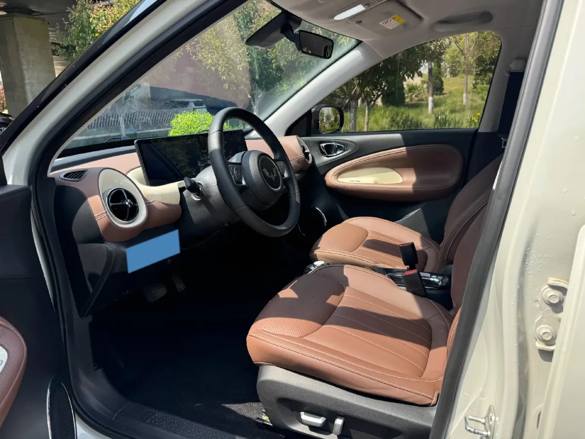 2023 WuLing BinGuo BEV 31.9KWH,autocango,china used car exporter,china ev exporter,chinese used car exporter,chinese used ev exporter
