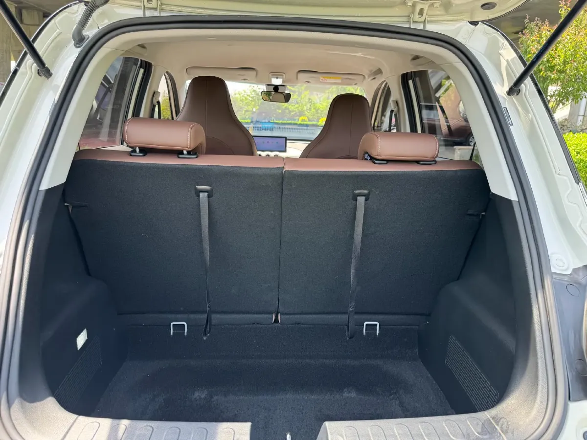 2023 WuLing BinGuo BEV 31.9KWH,autocango,china used car exporter,china ev exporter,chinese used car exporter,chinese used ev exporter