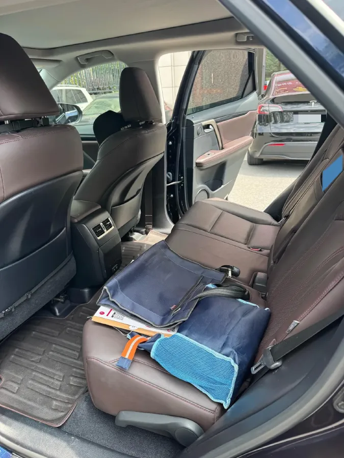 2020 Lexus RX 2.0T 231HP L4 6AT,autocango,china used car exporter,china ev exporter,chinese used car exporter,chinese used ev exporter