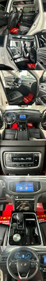 2020 GAC Trumpchi GS8 2.0T 252HP L4 6AT,autocango,china used car exporter,china ev exporter,chinese used car exporter,chinese used ev exporter