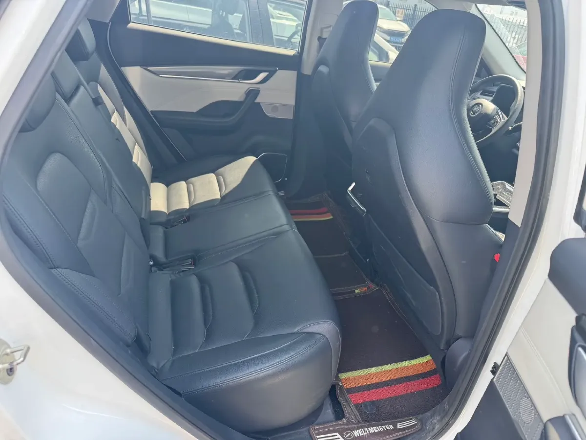 2019 Weltmeister EX5 BEV 52.56KWH,autocango,china used car exporter,china ev exporter,chinese used car exporter,chinese used ev exporter