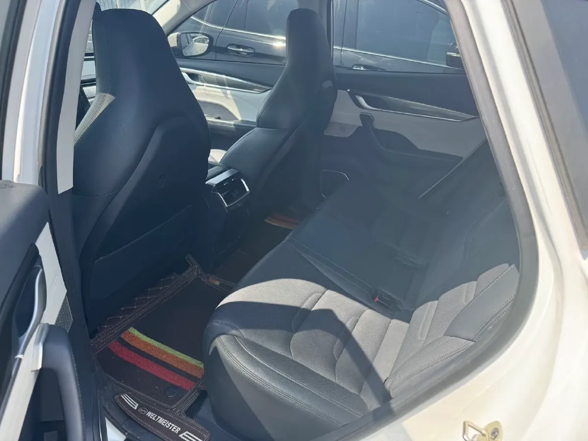2019 Weltmeister EX5 BEV 52.56KWH,autocango,china used car exporter,china ev exporter,chinese used car exporter,chinese used ev exporter