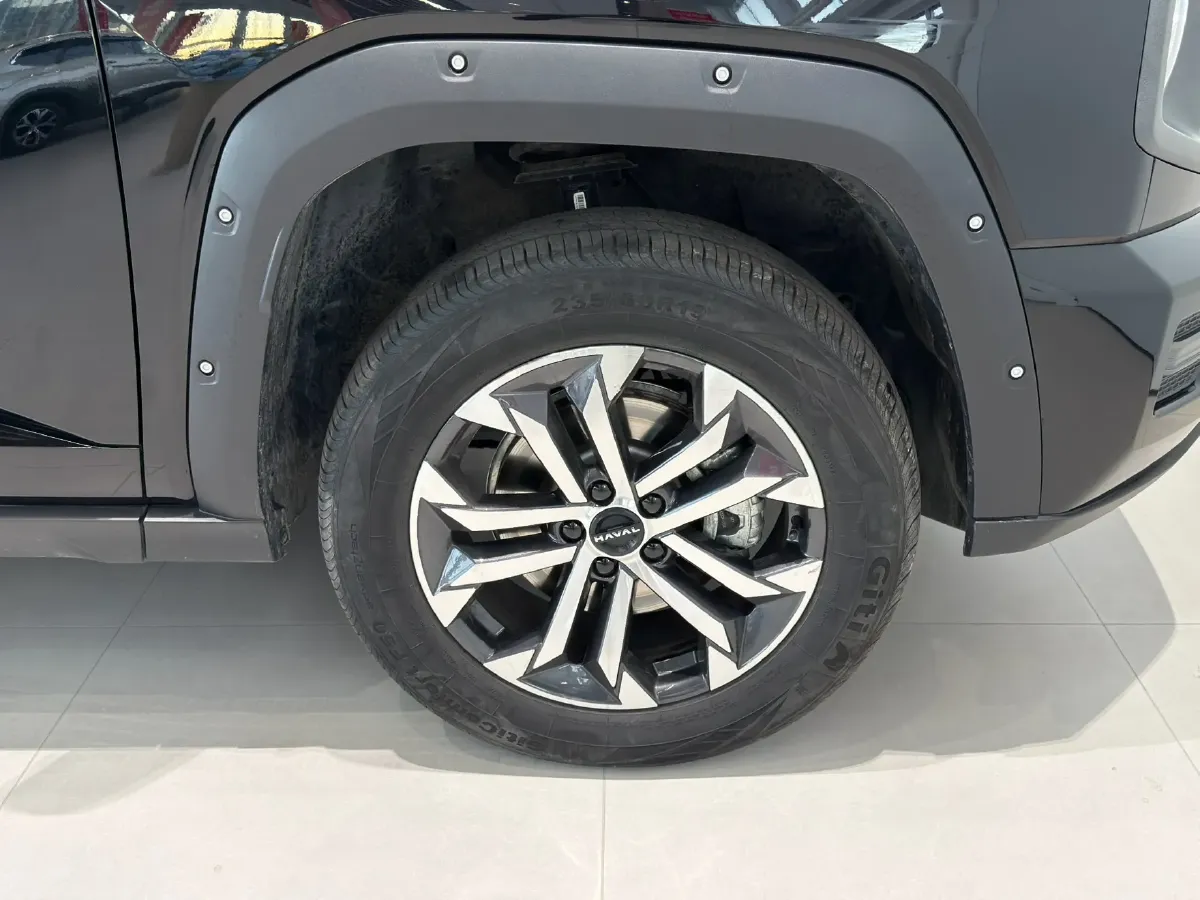 2023 Haval Dargo PLUS 2.0T 238HP L4 9DCT,autocango,china used car exporter,china ev exporter,chinese used car exporter,chinese used ev exporter