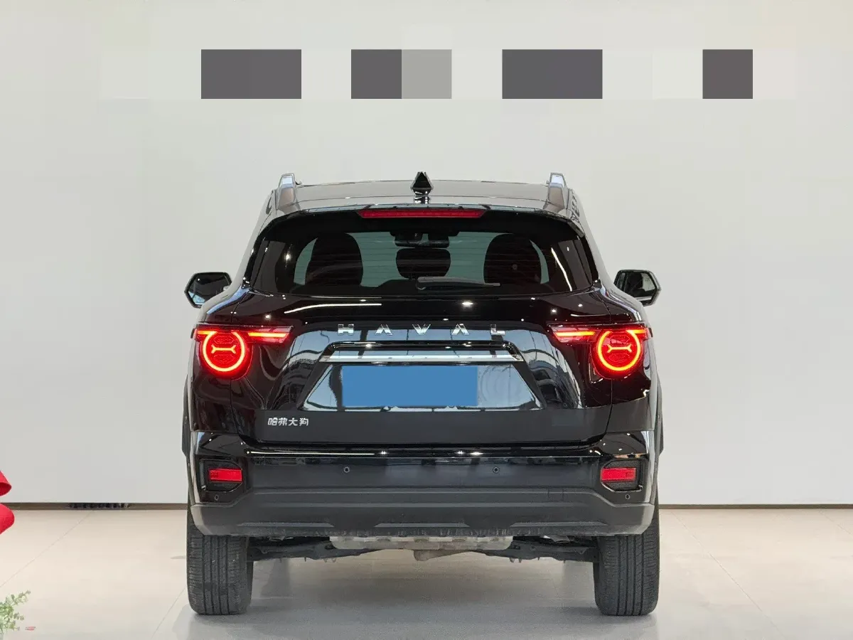 2023 Haval Dargo PLUS 2.0T 238HP L4 9DCT,autocango,china used car exporter,china ev exporter,chinese used car exporter,chinese used ev exporter