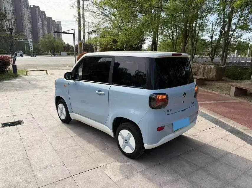 2024 ZD Rainbow BEV 17.3KWH,autocango,china used car exporter,china ev exporter,chinese used car exporter,chinese used ev exporter