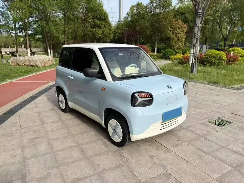 2024 ZD Rainbow BEV 17.3KWH,autocango,china used car exporter,china ev exporter,chinese used car exporter,chinese used ev exporter