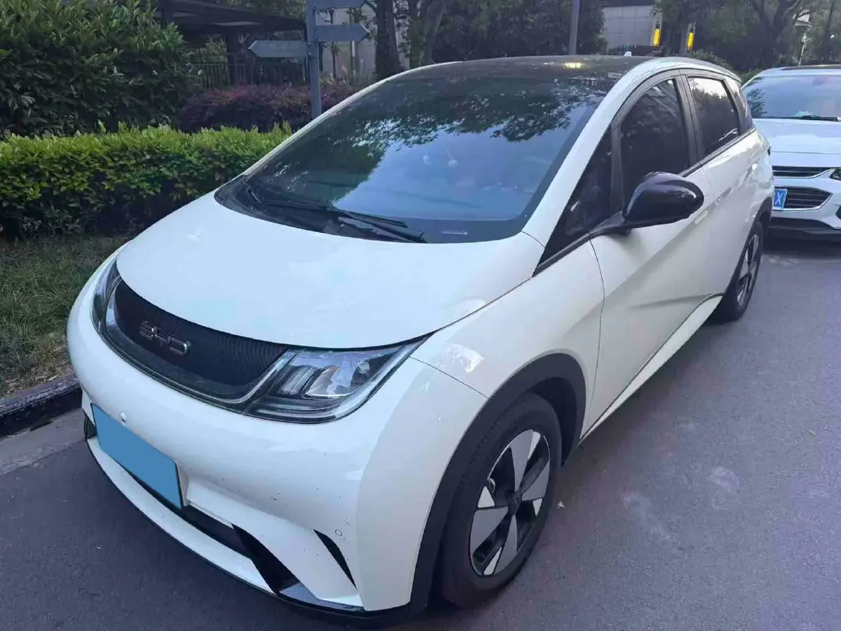 2023 BYD Dolphin BEV 44.928KWH,autocango,china used car exporter,china ev exporter,chinese used car exporter,chinese used ev exporter