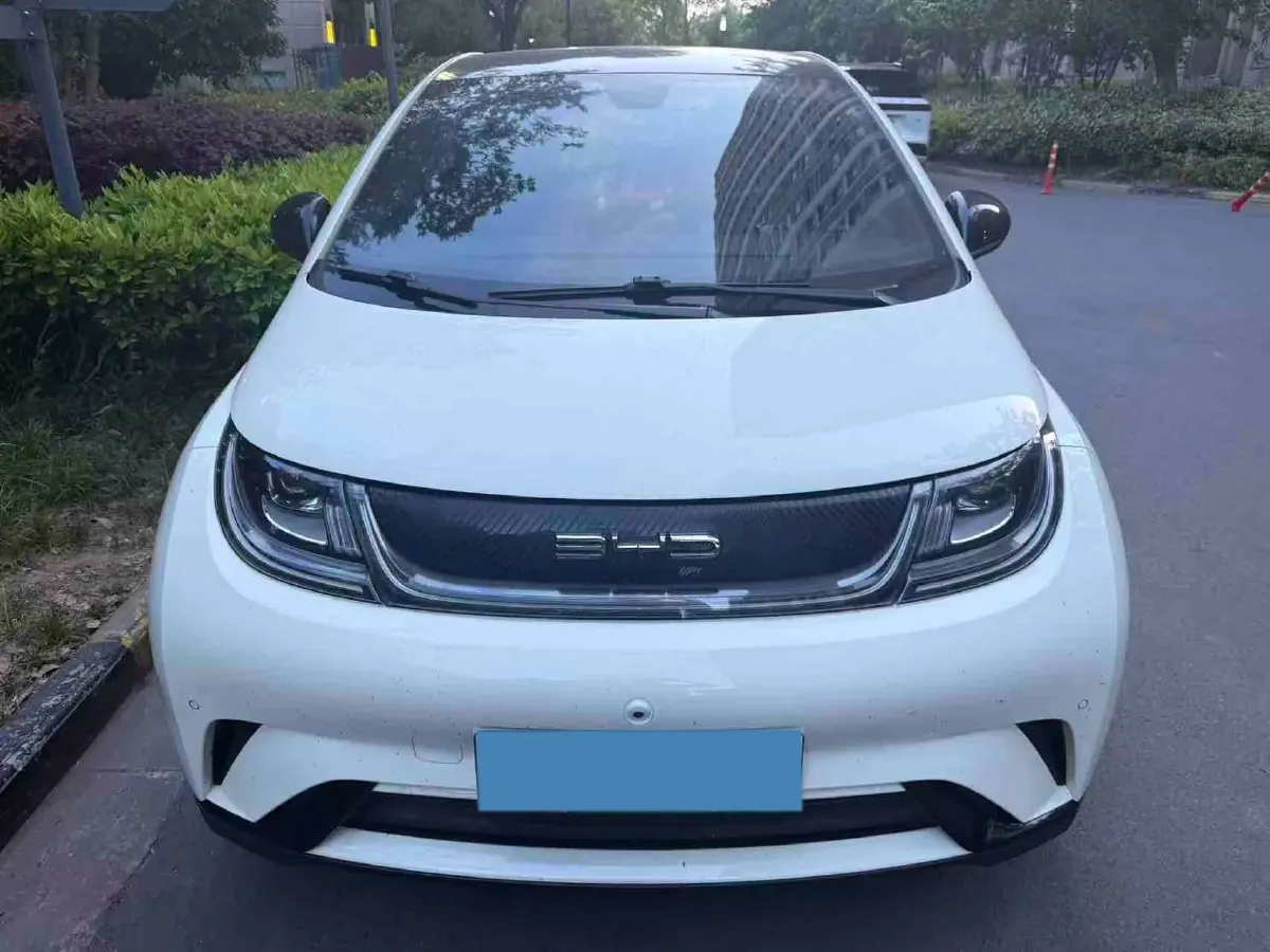 2023 BYD Dolphin BEV 44.928KWH,autocango,china used car exporter,china ev exporter,chinese used car exporter,chinese used ev exporter