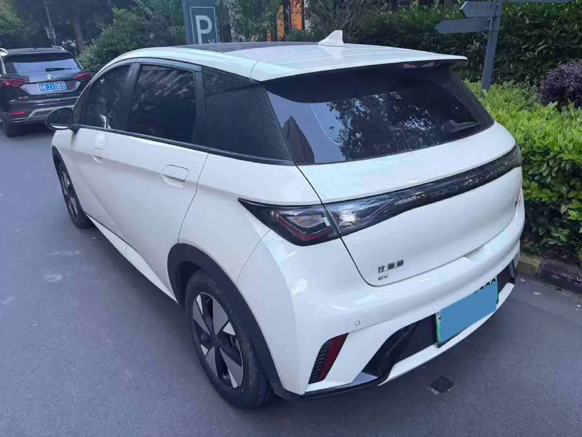 2023 BYD Dolphin BEV 44.928KWH,autocango,china used car exporter,china ev exporter,chinese used car exporter,chinese used ev exporter