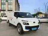 2019 Karry Dolphin EV BEV 44.5KWH