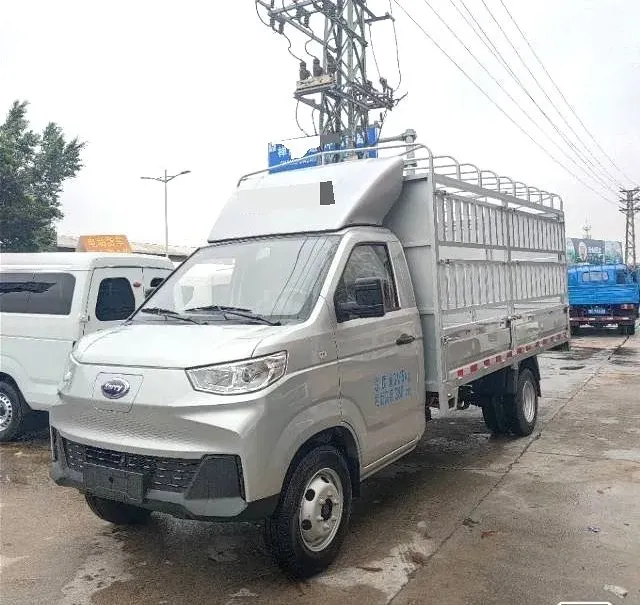 2024 Chery QQ Ice Cream BEV 13.6KWH,autocango,china used car exporter,china ev exporter,chinese used car exporter,chinese used ev exporter