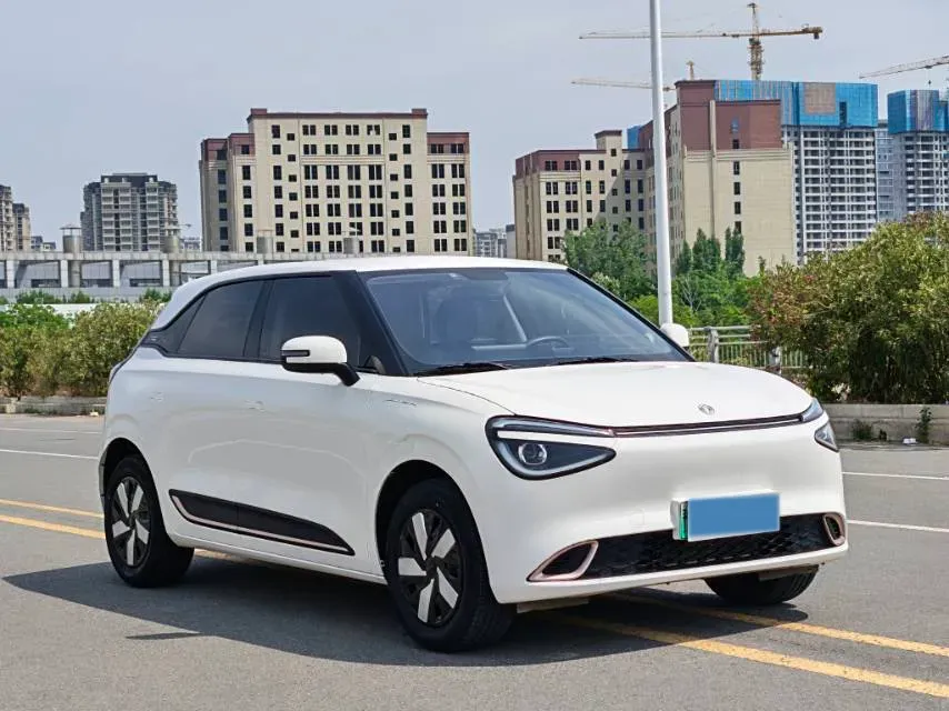 2024 DongFeng eπ 01 BEV 31.45KWH,autocango,china used car exporter,china ev exporter,chinese used car exporter,chinese used ev exporter