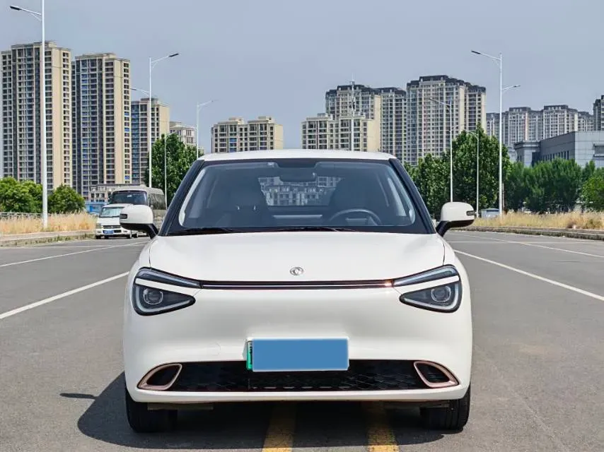 2024 DongFeng eπ 01 BEV 31.45KWH,autocango,china used car exporter,china ev exporter,chinese used car exporter,chinese used ev exporter