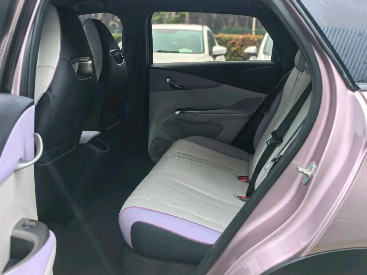 2023 BYD Dolphin BEV 44.928KWH,autocango,china used car exporter,china ev exporter,chinese used car exporter,chinese used ev exporter