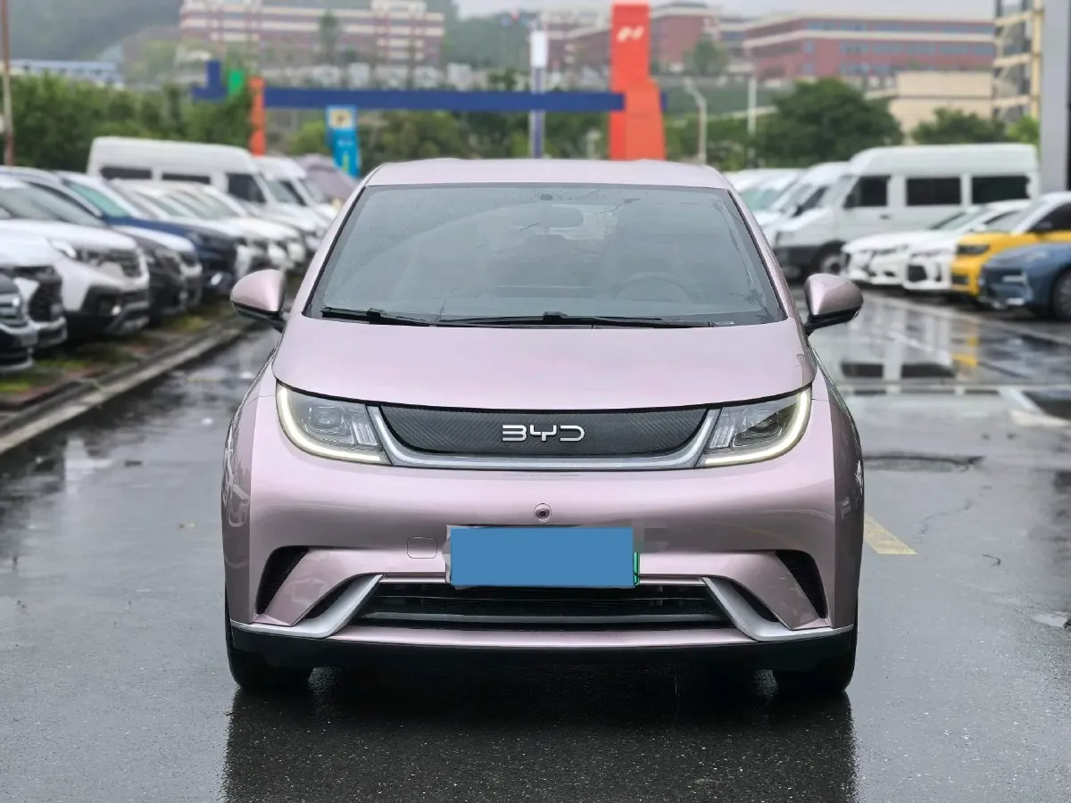 2023 BYD Dolphin BEV 44.928KWH,autocango,china used car exporter,china ev exporter,chinese used car exporter,chinese used ev exporter