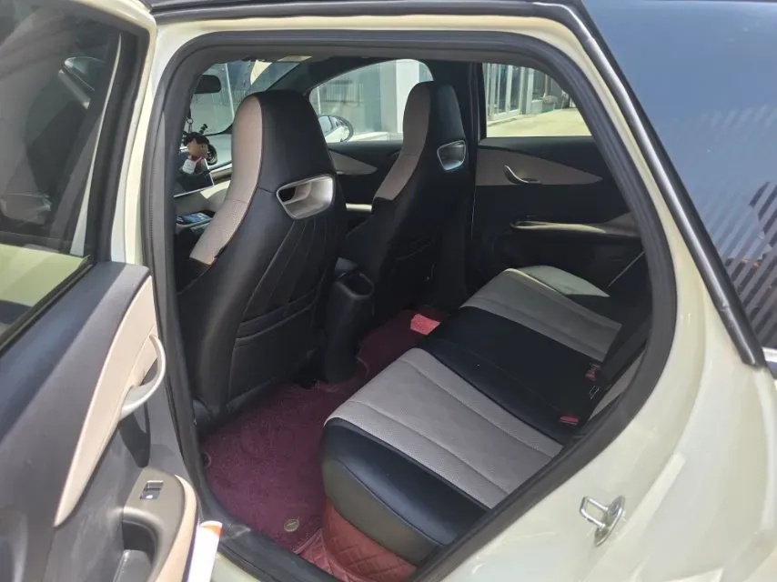 2025 BYD Dolphin BEV 44.928KWH,autocango,china used car exporter,china ev exporter,chinese used car exporter,chinese used ev exporter