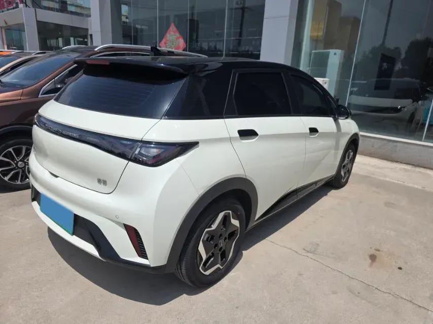 2025 BYD Dolphin BEV 44.928KWH,autocango,china used car exporter,china ev exporter,chinese used car exporter,chinese used ev exporter