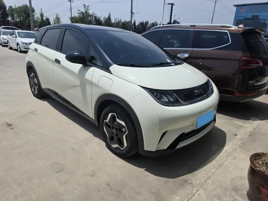 2025 BYD Dolphin BEV 44.928KWH,autocango,china used car exporter,china ev exporter,chinese used car exporter,chinese used ev exporter