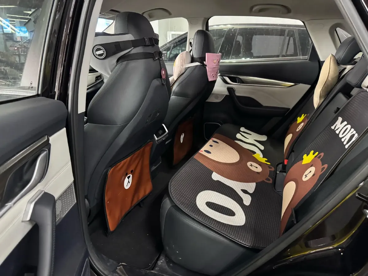 2019 Weltmeister EX5 BEV 69KWH,autocango,china used car exporter,china ev exporter,chinese used car exporter,chinese used ev exporter