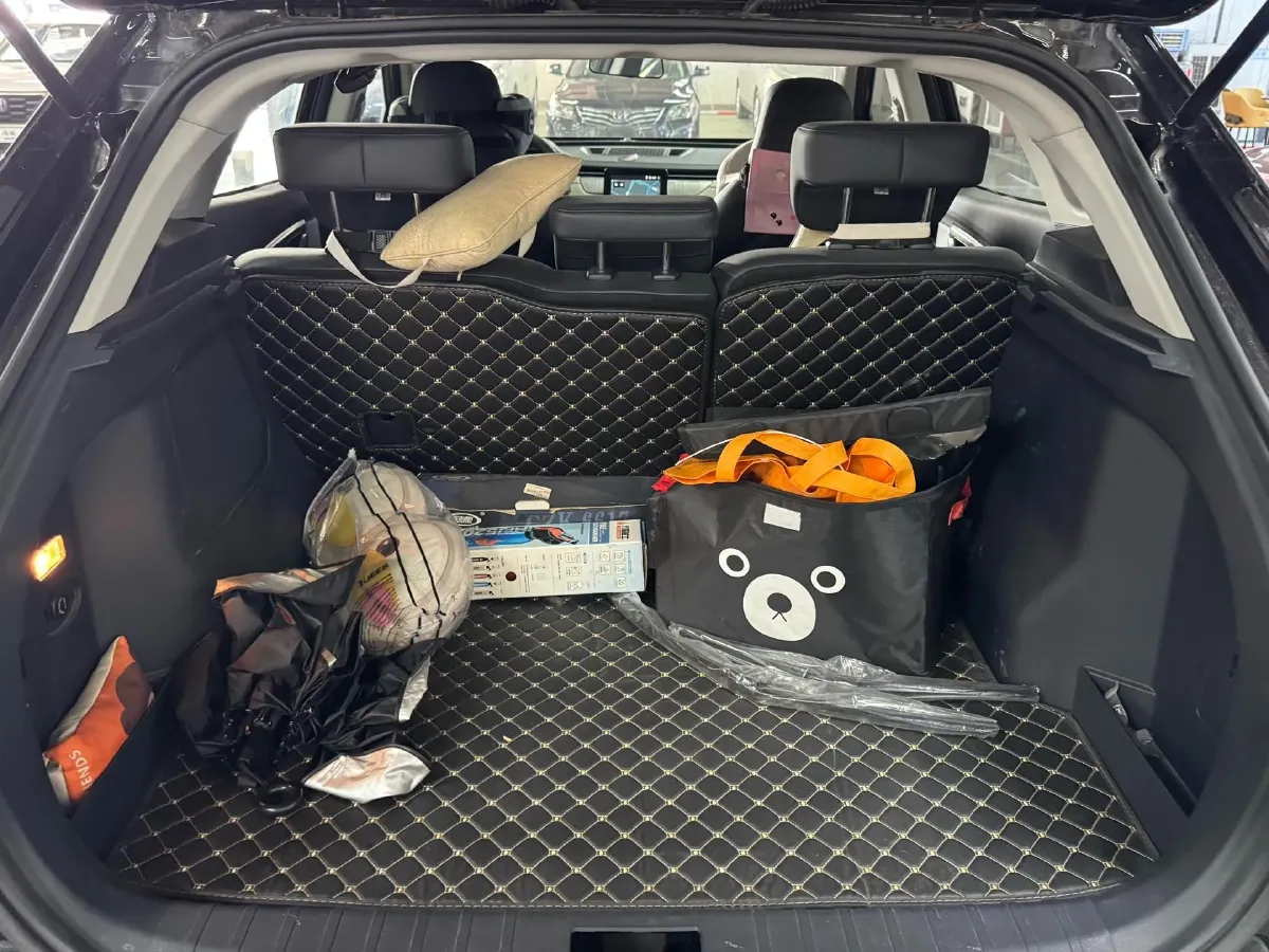 2019 Weltmeister EX5 BEV 69KWH,autocango,china used car exporter,china ev exporter,chinese used car exporter,chinese used ev exporter