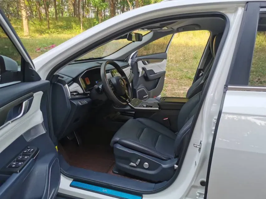 2019 Weltmeister EX5 BEV 52.56KWH,autocango,china used car exporter,china ev exporter,chinese used car exporter,chinese used ev exporter