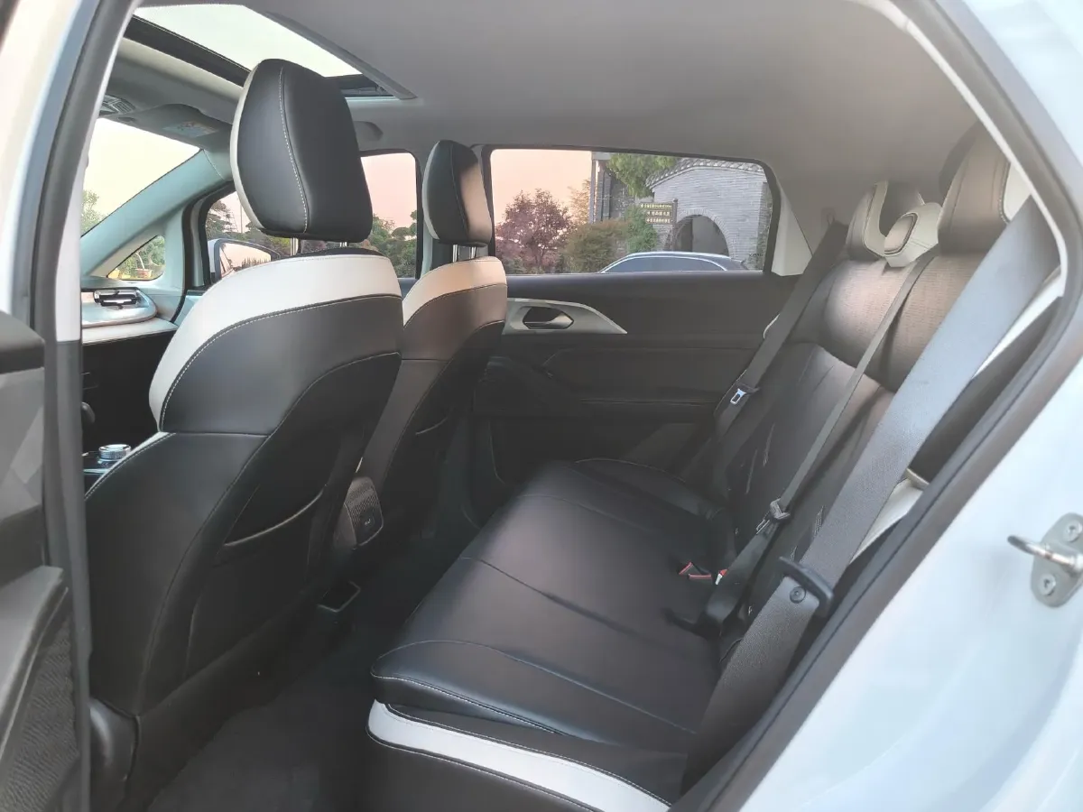 2023 Geometry E BEV 39.4KWH,autocango,china used car exporter,china ev exporter,chinese used car exporter,chinese used ev exporter