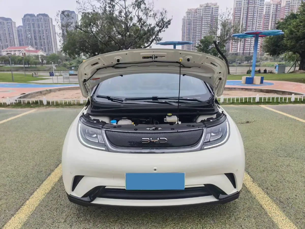 2024 BYD Dolphin BEV 44.928KWH,autocango,china used car exporter,china ev exporter,chinese used car exporter,chinese used ev exporter