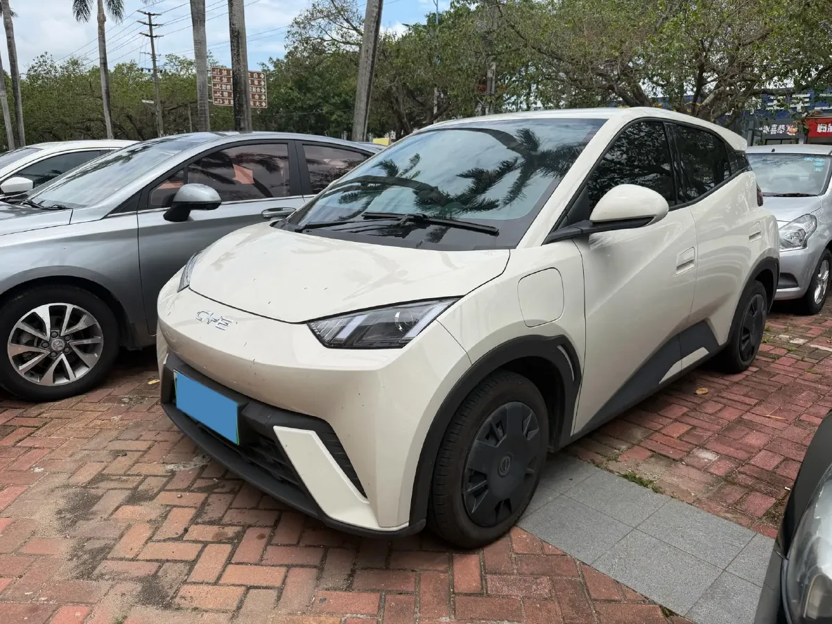 2024 BYD Seagull BEV 30.08KWH,autocango,china used car exporter,china ev exporter,chinese used car exporter,chinese used ev exporter
