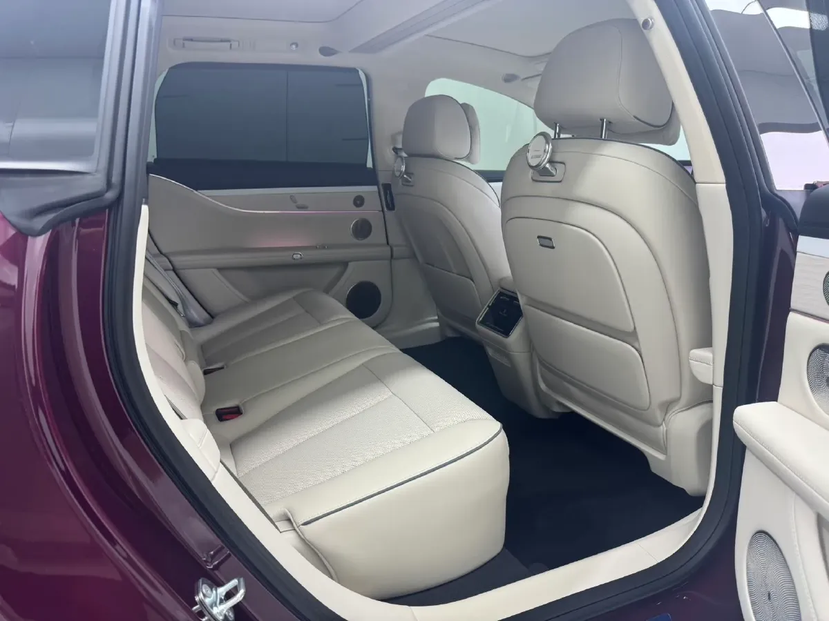 2025 HIMA Stelato S9T REEV 160HP REEV,autocango,china used car exporter,china ev exporter,chinese used car exporter,chinese used ev exporter