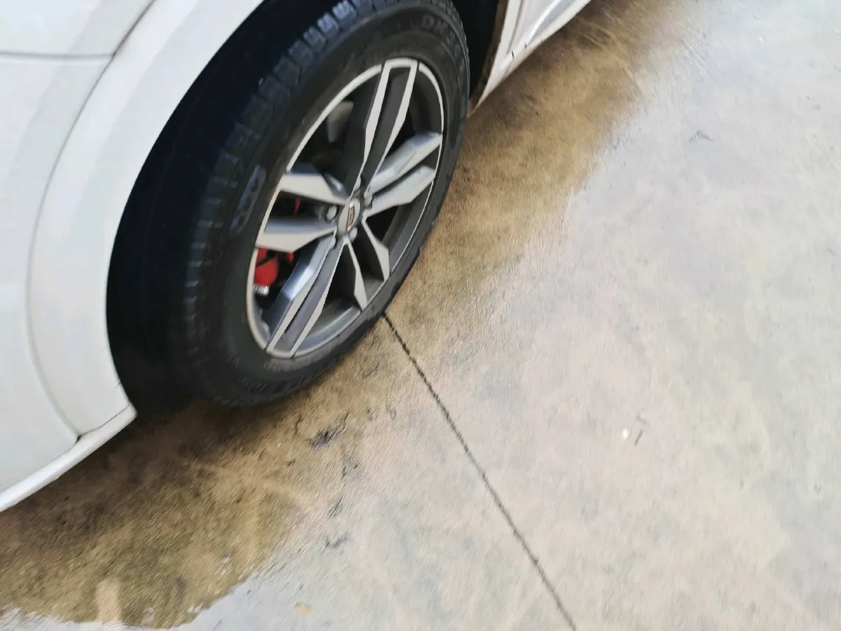 2020 Roewe RX5 1.5T 169HP L4 AMT PHEV 11.1KWH,autocango,china used car exporter,china ev exporter,chinese used car exporter,chinese used ev exporter