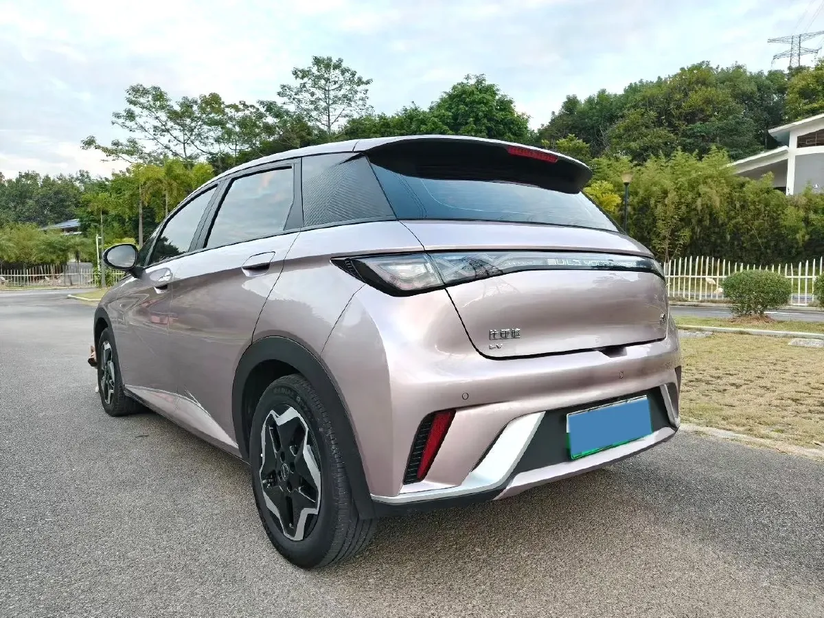 2021 BYD Yuan Pro BEV 50.1KWH,autocango,china used car exporter,china ev exporter,chinese used car exporter,chinese used ev exporter