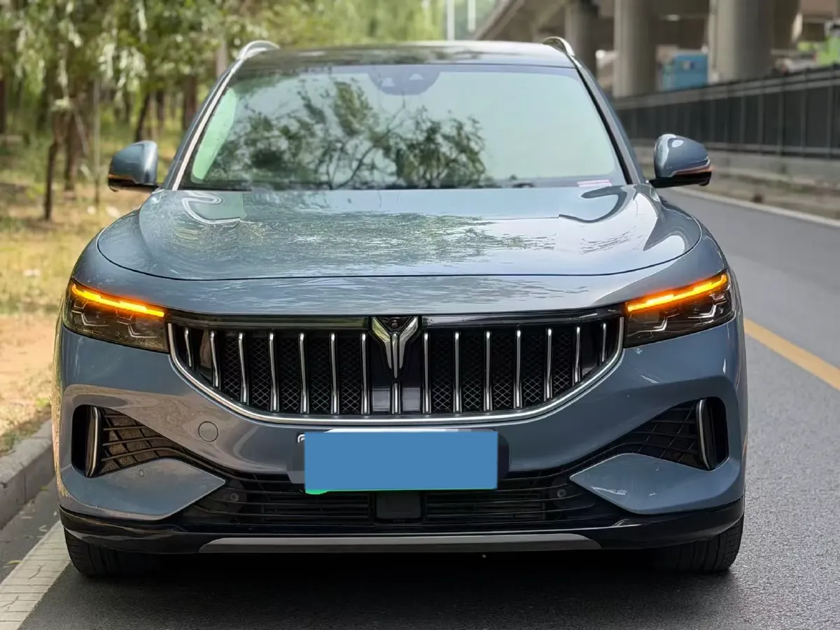 2021 Voyah FREE Range Extended 109HP REEV 33KWH,autocango,china used car exporter,china ev exporter,chinese used car exporter,chinese used ev exporter