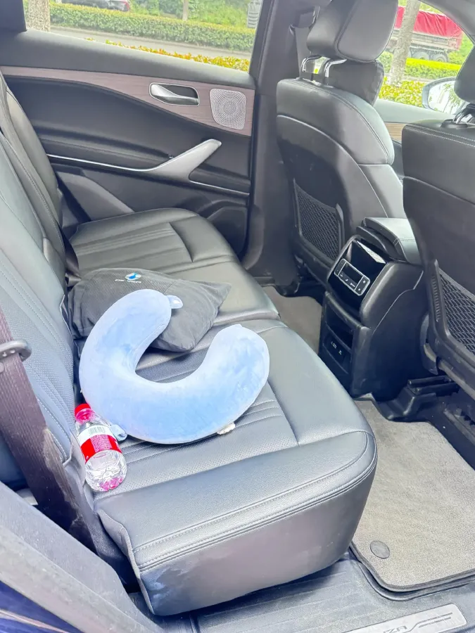 2020 Denza X 2.0T 192HP L4 6DCT PHEV 20KWH,autocango,china used car exporter,china ev exporter,chinese used car exporter,chinese used ev exporter