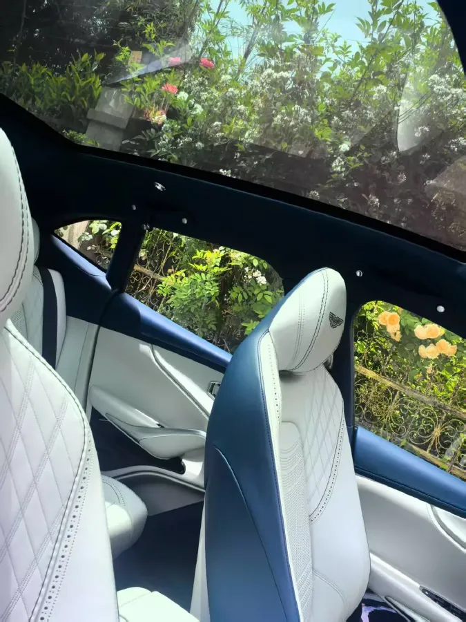 2023 Aston Martin DBX 4.0T 550HP V8 9AT,autocango,china used car exporter,china ev exporter,chinese used car exporter,chinese used ev exporter