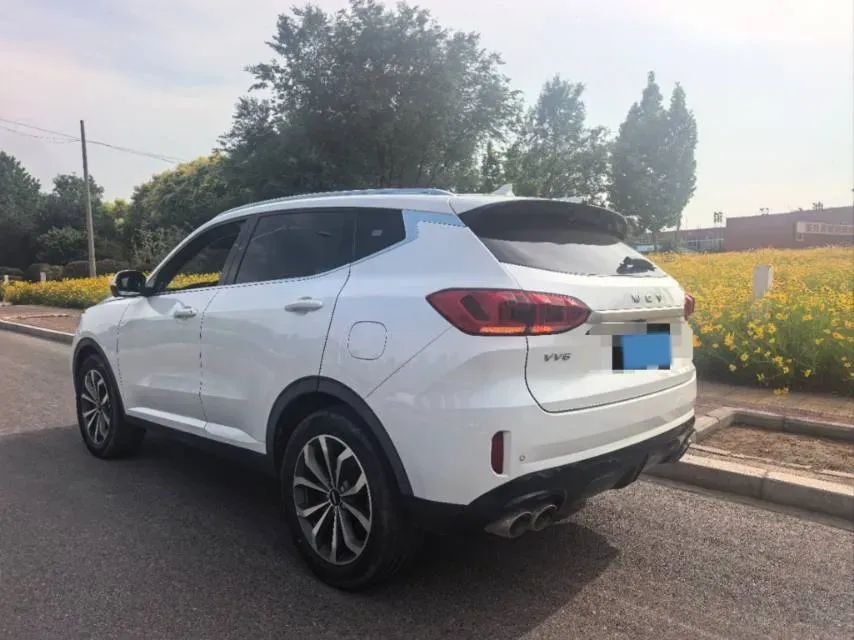 2021 WEY VV6 2.0T 227HP L4 7DCT,autocango,china used car exporter,china ev exporter,chinese used car exporter,chinese used ev exporter
