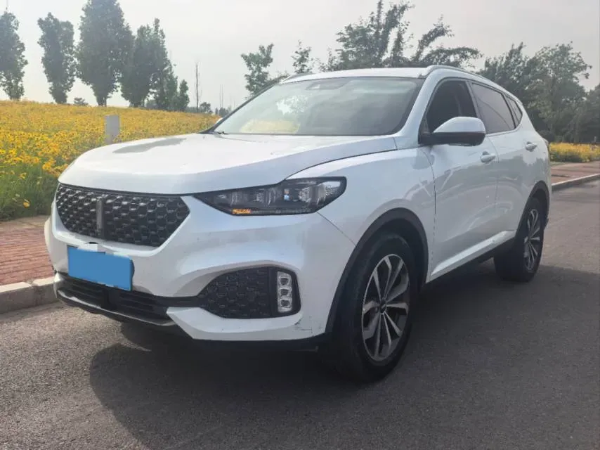 2021 WEY VV6 2.0T 227HP L4 7DCT,autocango,china used car exporter,china ev exporter,chinese used car exporter,chinese used ev exporter